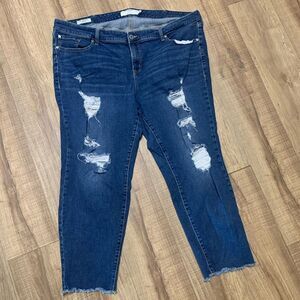 Torrid Distressed Capri Blue Jeans